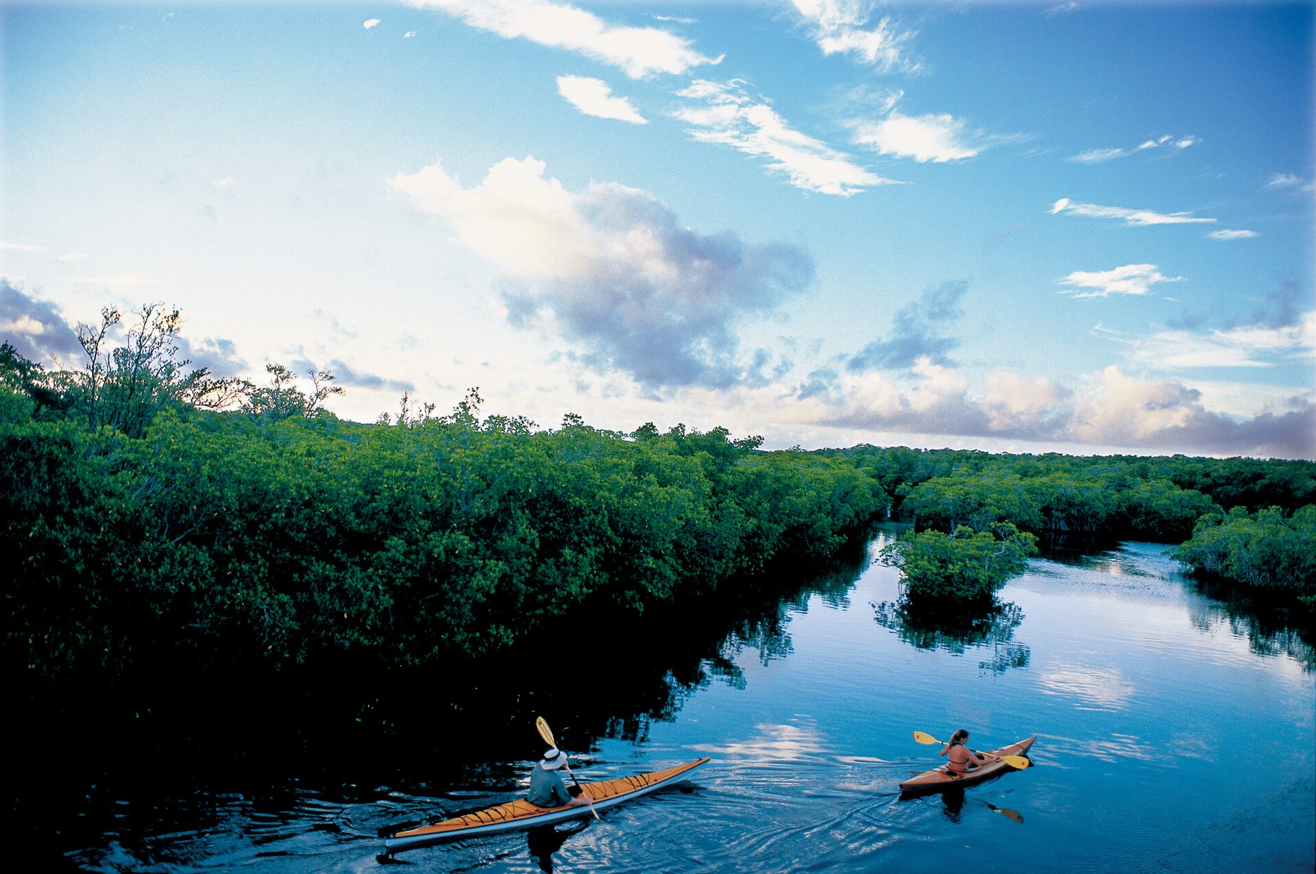 Kayak rental