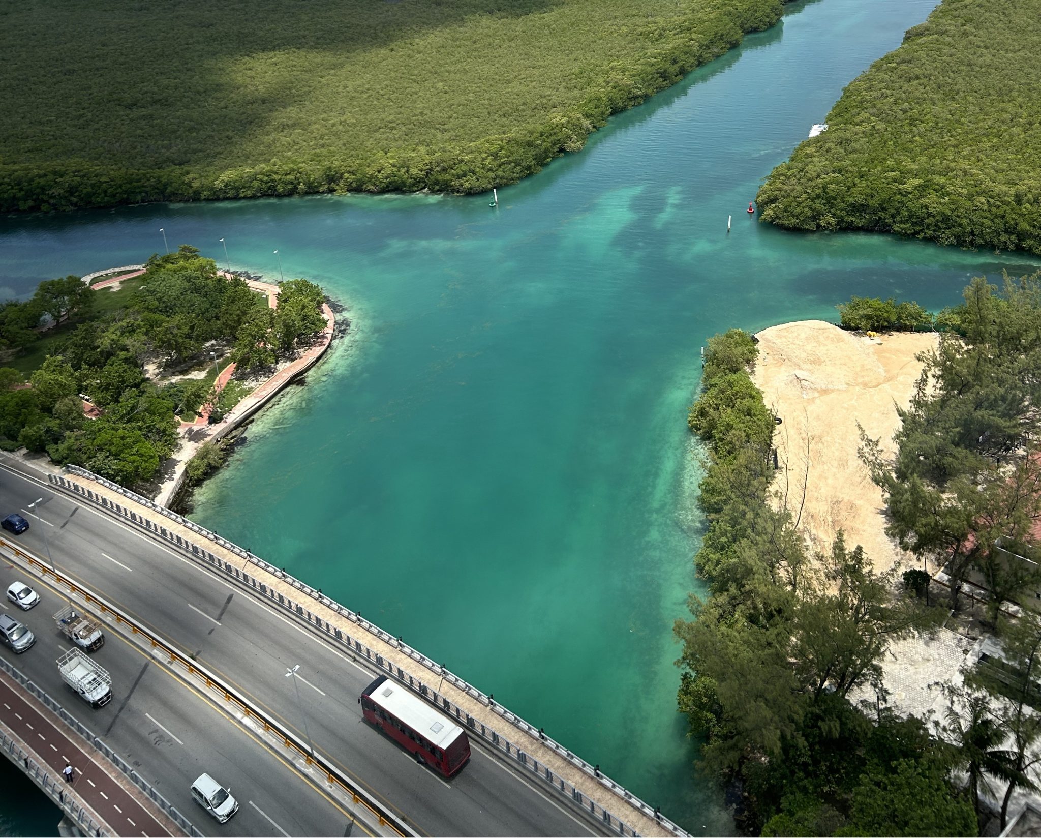 Mangrove tour