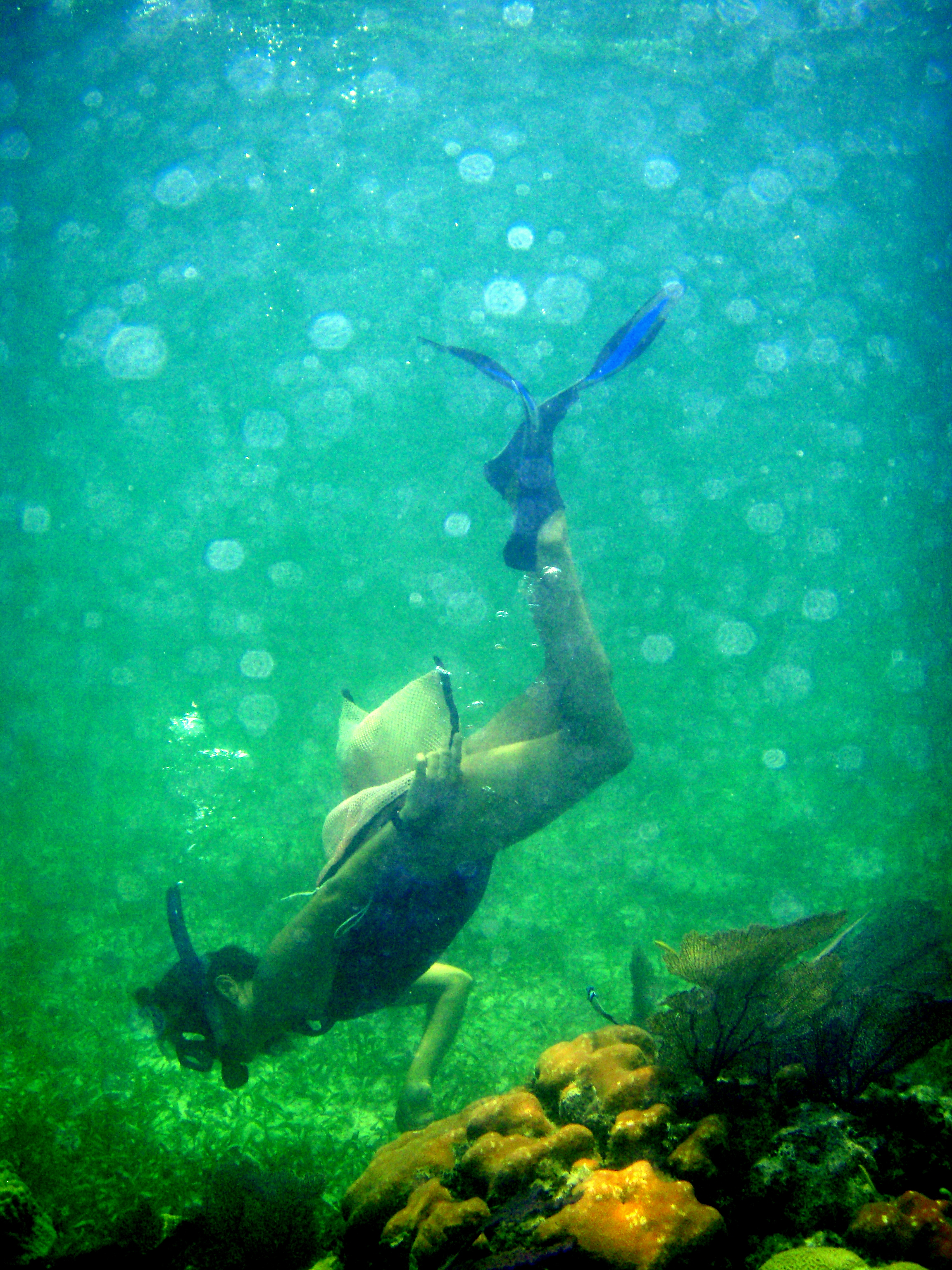 Snorkelling